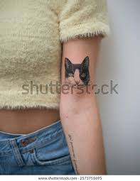 Katt tatuering, Cat tattoo.