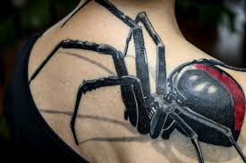 Spindel, spindalar tatuering, spider tattoo.