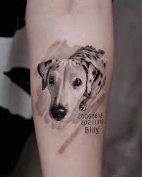 Dalmatin tatuering, Dalmatin tattoo.