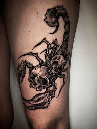 Skorpion tatuering, Scorpion tattoo.