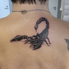 Skorpion tatuering, Scorpion tattoo.