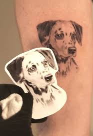 Dalmatin tatuering, Dalmatin tattoo.