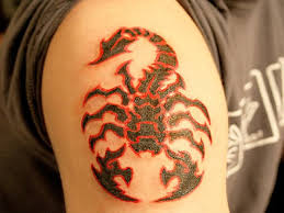 Skorpion tatuering, Scorpion tattoo.
