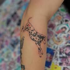 Dalmatin tatuering, Dalmatin tattoo.