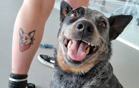 Hund tatuering, Dog tattoo.