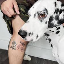 Dalmatin tatuering, Dalmatin tattoo.