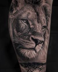 Lejon, tatuering, lion tattoo.