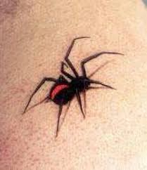 Spindel, spindlar tatuering, spider tattoo.