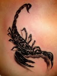 Skorpion tatuering, Scorpion tattoo.