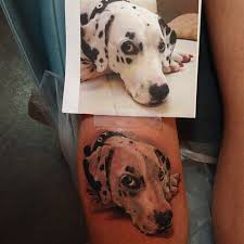 Dalmatin tatuering, Dalmatin tattoo.