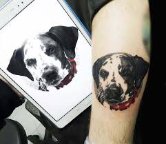 Dalmatin tatuering, Dalmatin tattoo.