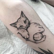 Katt tatuering, Cat tattoo.