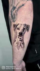 Dalmatin tatuering, Dalmatin tattoo.