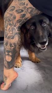Hund tatuering, Dog tattoo.