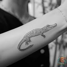 Krokodil, alligator tatuering, crocodile, alligator tattoo.