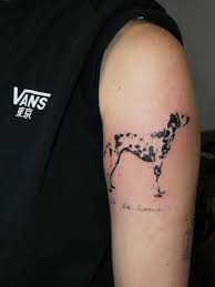 Dalmatin tatuering, Dalmatin tattoo.