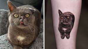 Katt tatuering, Cat tattoo.