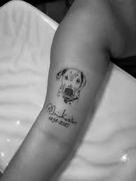 Dalmatin tatuering, Dalmatin tattoo.