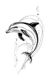 Delfin tatuering, Dolphin tattoo.
