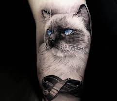 Katt tatuering, Cat tattoo.