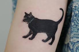 Katt tatuering, Cat tattoo.