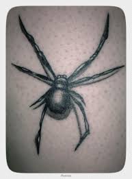 Spindel, spindlar tatuering, spider tattoo.