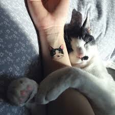 Katt tatuering, Cat tattoo.