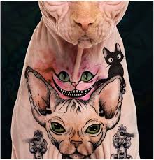 Katt tatuering, Cat tattoo.
