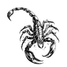 Skorpion tatuering, Scorpion tattoo.