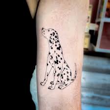 Dalmatin tatuering, Dalmatin tattoo.