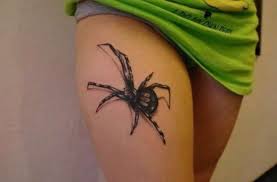 Spindel, spindalar tatuering, spider tattoo.
